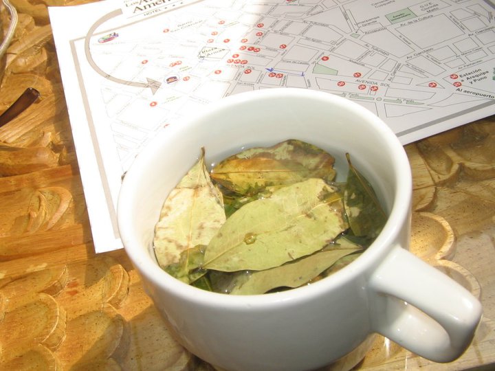 45835_1523549456173_8201557_n