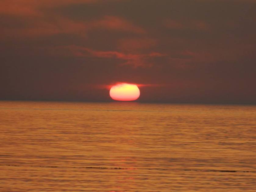 969299_10203066830019150_928903061_n