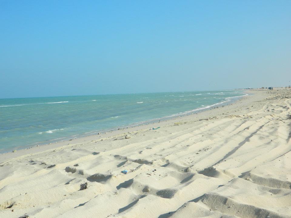 379161_2621924034851_2138934198_n