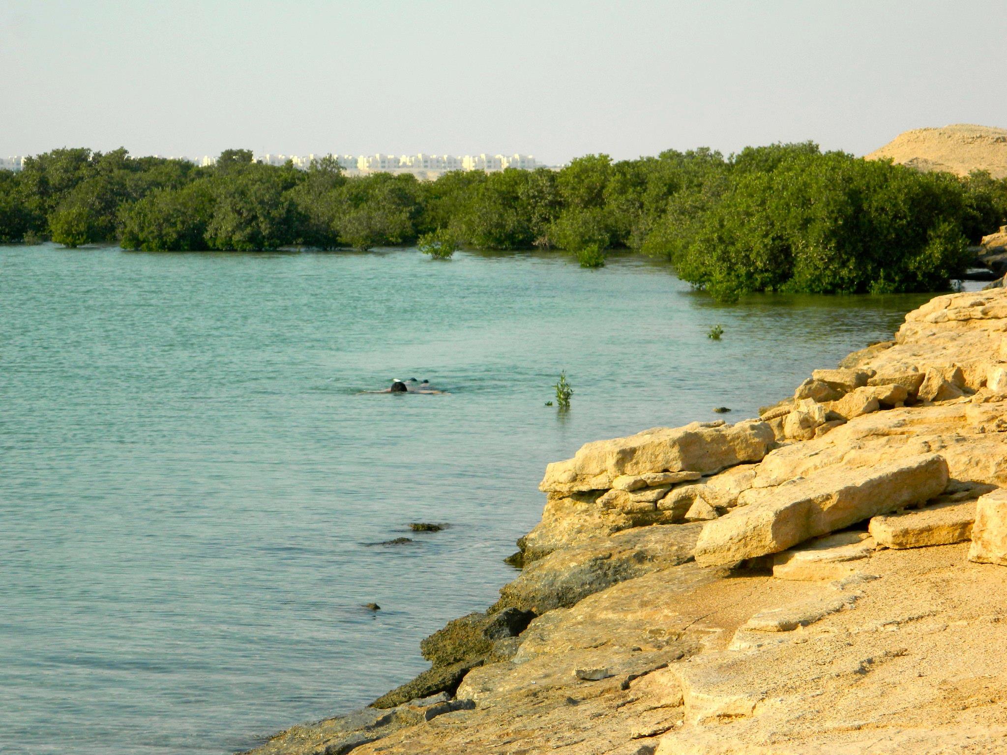 53296_4645300618001_304135864_o