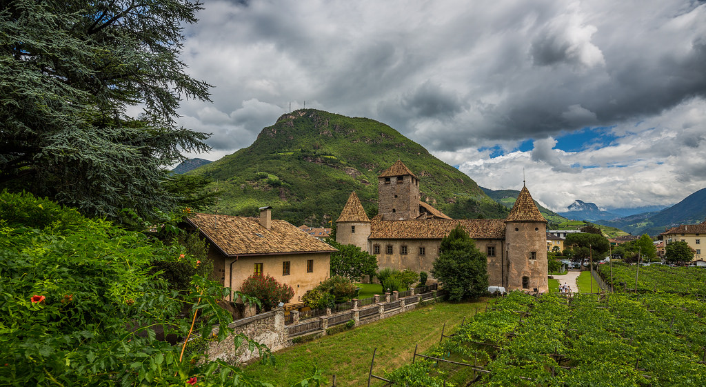 36122699721_18aa2873ec_b